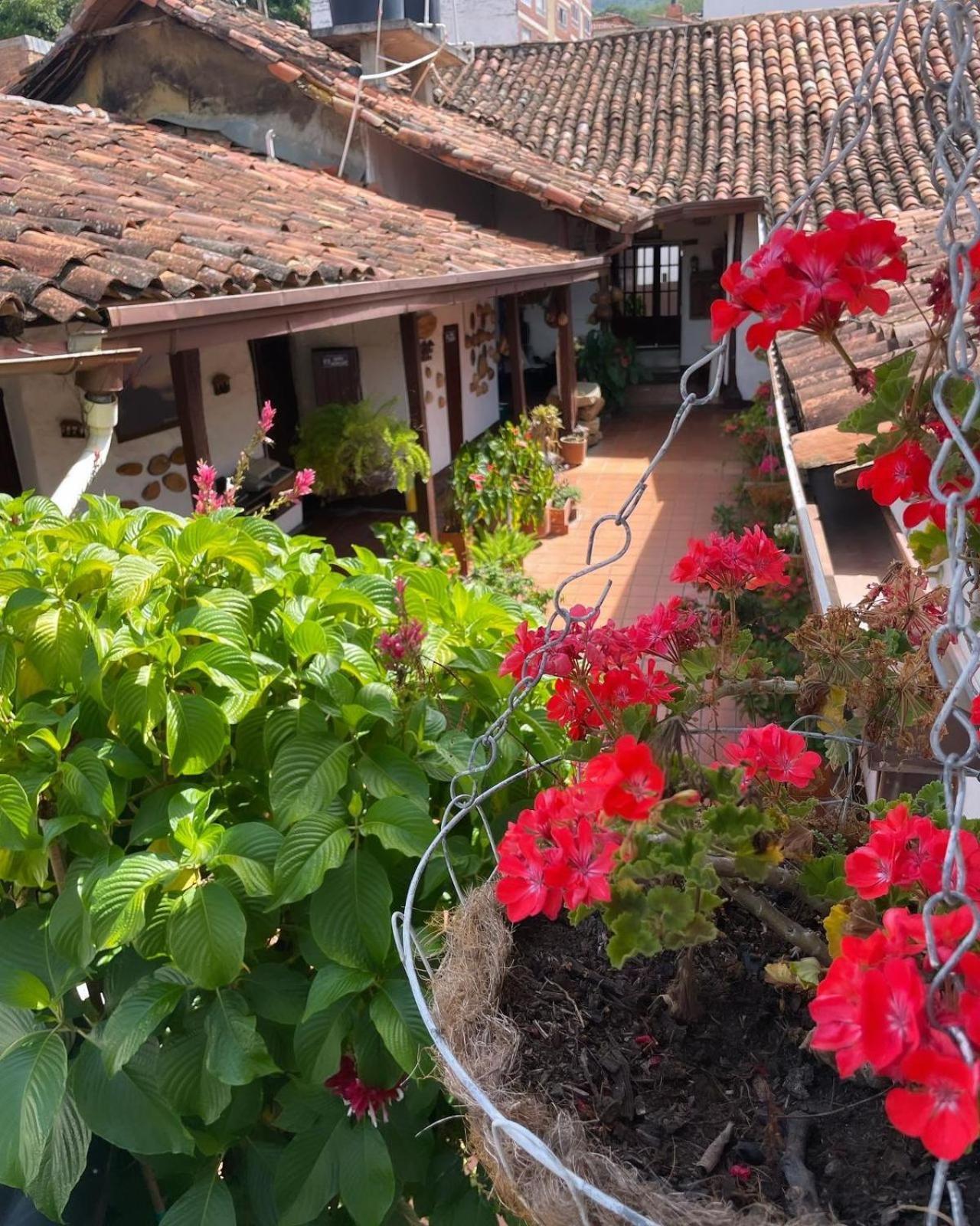 Hotel Casa Posada Don Chepe サン・ヒル エクステリア 写真