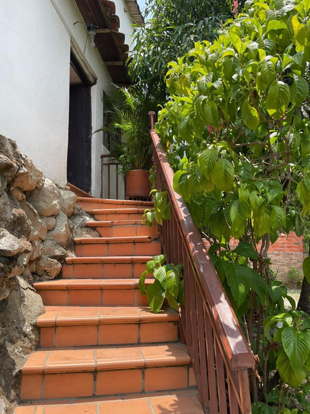 Hotel Casa Posada Don Chepe サン・ヒル エクステリア 写真